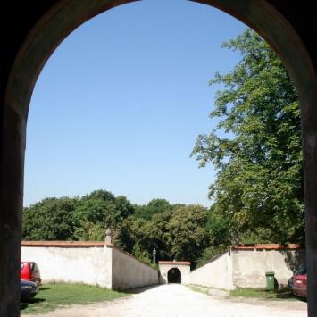 , Zbyszek Mat
