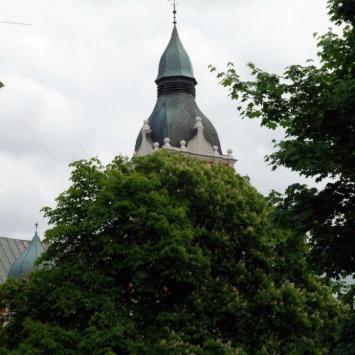 , Zbyszek Mat