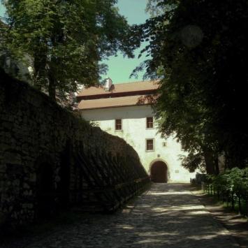 , Zbyszek Mat