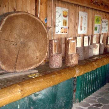 ..w Muzeum Ciesielnictwa.., Zbyszek Mat