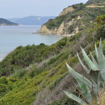 Zakynthos - nigdy o niej nie zapomnisz:) - zdjęcie