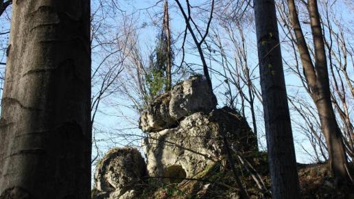 skałki w Dolinie Wodącej, Karol