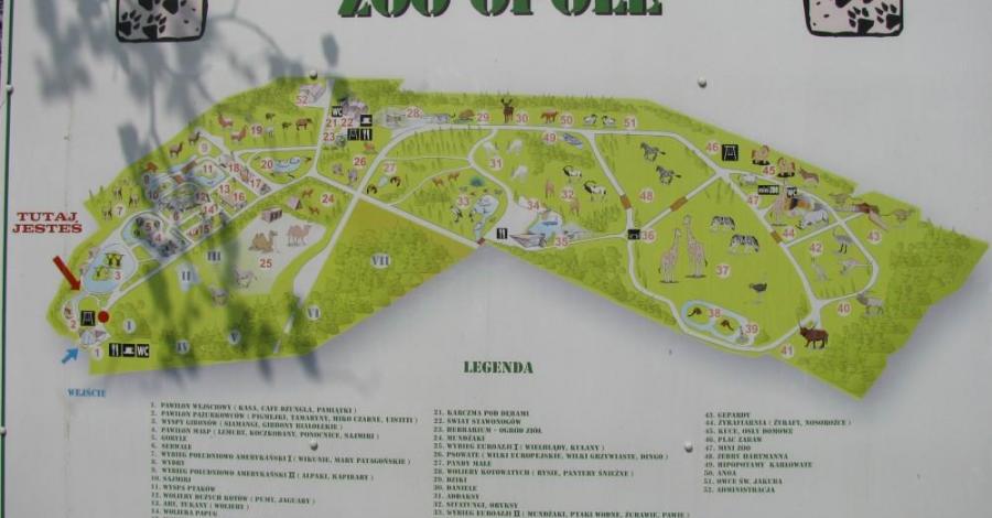Zoo i skansen w Opolu. - zdjęcie