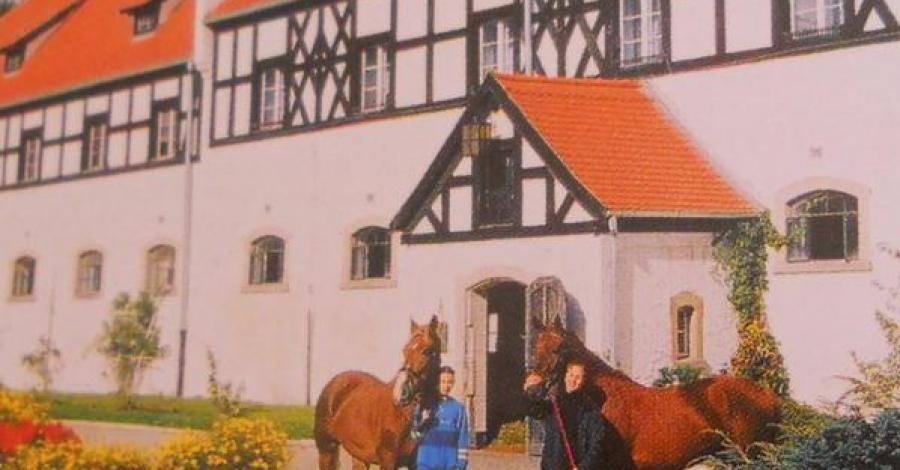 Stadnina koni w Książu ... - zdjęcie