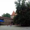 , Zbyszek Mat