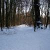 ..park sanatoryjny.., Zbyszek Mat