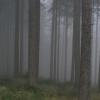 , Łukasz