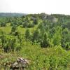 panorama z towarnych dużych na towarne małe i olsztyn, Magdalena