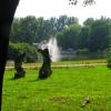 Park zdrojowy w Nałęczowie