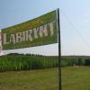 Labirynt w Kurozwękach