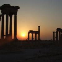 Palmyra, Marcin F.