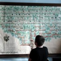 ..drzewo genealogiczne Tulczyńskich - tylko męskich przedstawicieli..., Zbyszek Mat