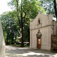 , Zbyszek Mat