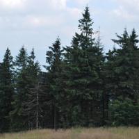 , Łukasz