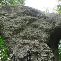 , Magdalena