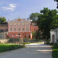 Kurozwęki pałac