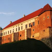 zamek w Sandomierzu
