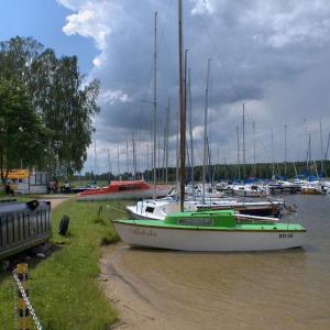 Bory Tucholskie