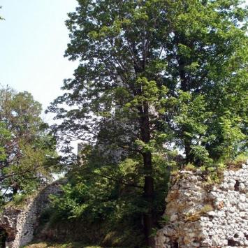 , Zbyszek Mat