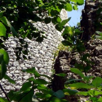 , Zbyszek Mat