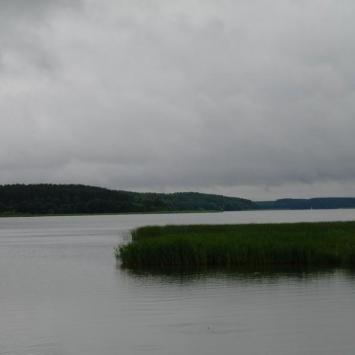 , Zbyszek Mat