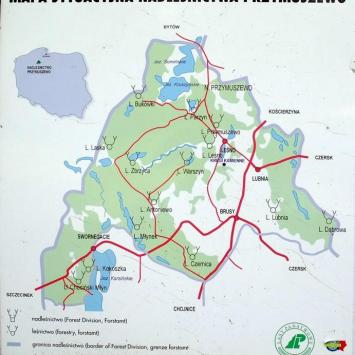 ..Mapa Nadleśnictwa Przymuszewo.., Zbyszek Mat