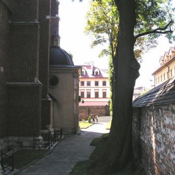 , Zbyszek Mat