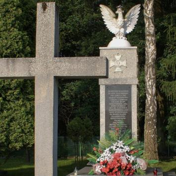 Bitwa Wyrska pod Wyrami i Gostyniem - zdjęcie