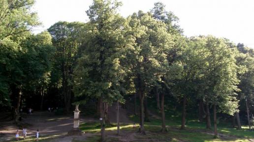 Kalwaria Zebrzydowska, Zbyszek Mat