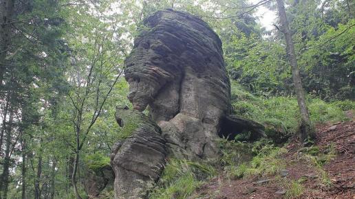 , Adam Prończuk