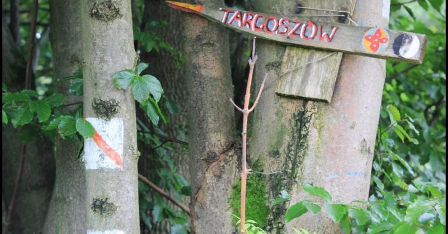 Po Małym ścieżkami - zdjęcie
