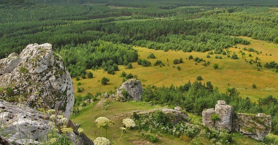 okolice Olsztyna k. Częstochowy (Sokole góry, Olsztyn, kielniki, góry towarne) - zdjęcie