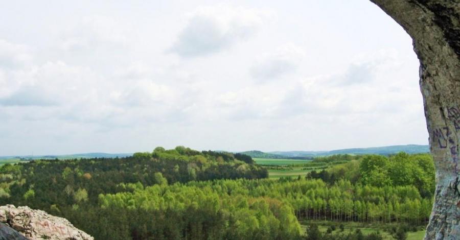 majówka 2008 (złoty potok, Smoleń, dolina wodącej, ryczów, Skarżyce, morsko, góra zborów, ogrodzieniec) - zdjęcie