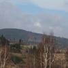 , Mariusz G