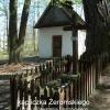 , Sylwester Jędrzejczak