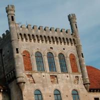 książ wlk, mirosław