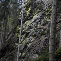 , Mariusz G