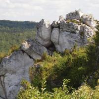Skałki na szlaku, Tadeusz Walkowicz