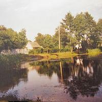 staw w Nieznanicach, Magdalena