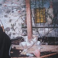 , Magdalena