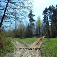 , Sylwester Jędrzejczak