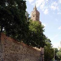Stargard Szczeciński, Zbyszek Mat