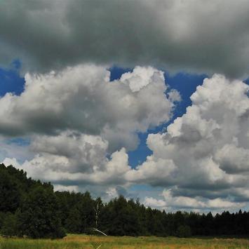 Żarki (Poraj, Żarki - letnisko, przybynów, leśniów, poczesna), Magdalena