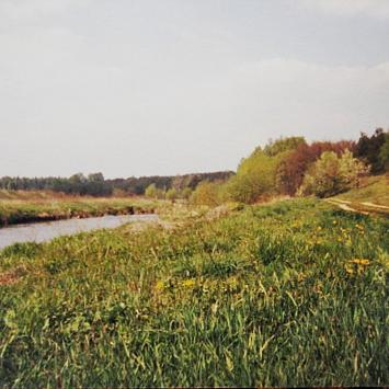 , Magdalena