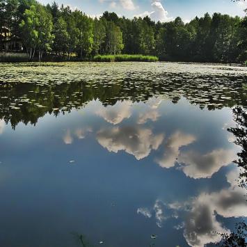 Żarki (Poraj, Żarki - letnisko, przybynów, leśniów, poczesna), Magdalena