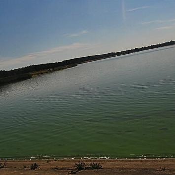 Żarki (Poraj, Żarki - letnisko, przybynów, leśniów, poczesna), Magdalena