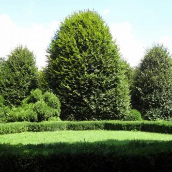 park jordana, Magdalena