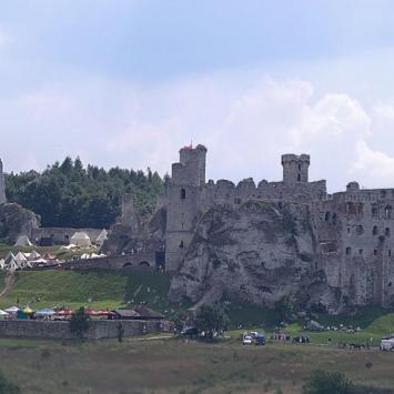 „Czarny Pies” patrzy na walkę wojów w Podzamczu - Turniej o Miecz Kasztelana Zamku Ogrodzienieckiego. - zdjęcie