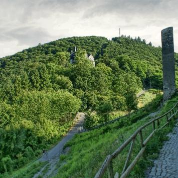 "Wina, wina dajcie!...- Bernkastel Kues - zdjęcie