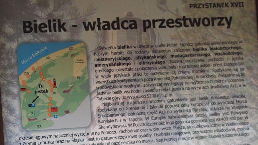 Informacja o bielikach, Tadeusz Walkowicz